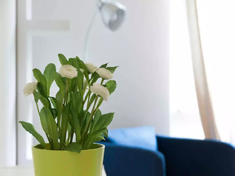 Immagine 7 di Camera in affitto  in Via Giovanni Pezzotti a Milano