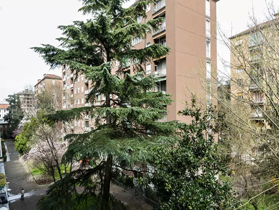 Immagine 8 di Camera in affitto  in Via Giovanni Pezzotti a Milano