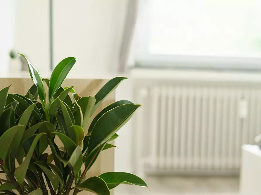 Immagine 7 di Appartamento in affitto  in Am Bruchkamp a Braunschweig