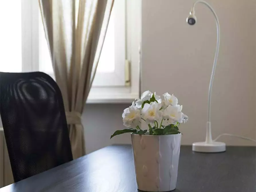 Immagine 6 di Camera in affitto  in Via Pellegrino Rossi a Milano