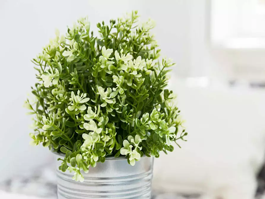 Immagine 7 di Camera in affitto  in Via Larga a Milano