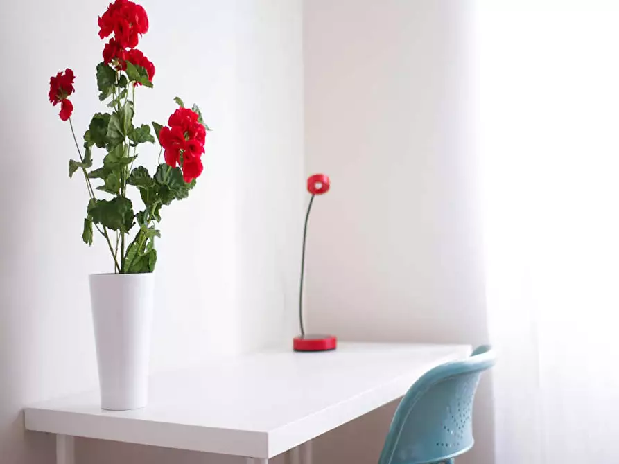 Immagine 4 di Camera in affitto  in Viale Brianza a Milano