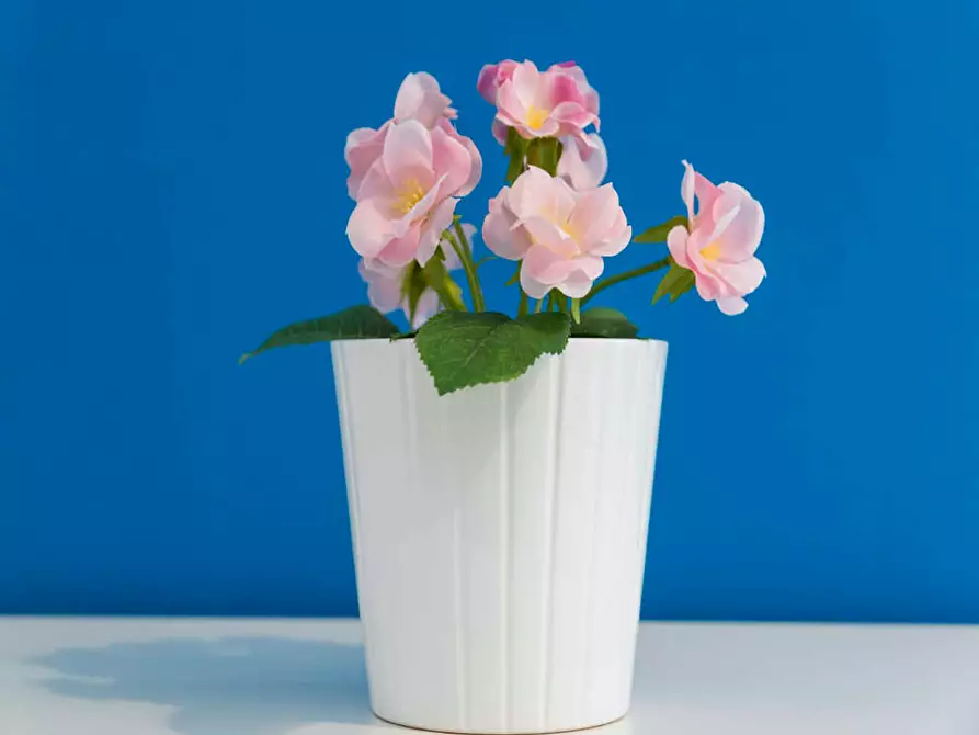 Immagine 6 di Camera in affitto  in Via Salvatore Barzilai a Milano