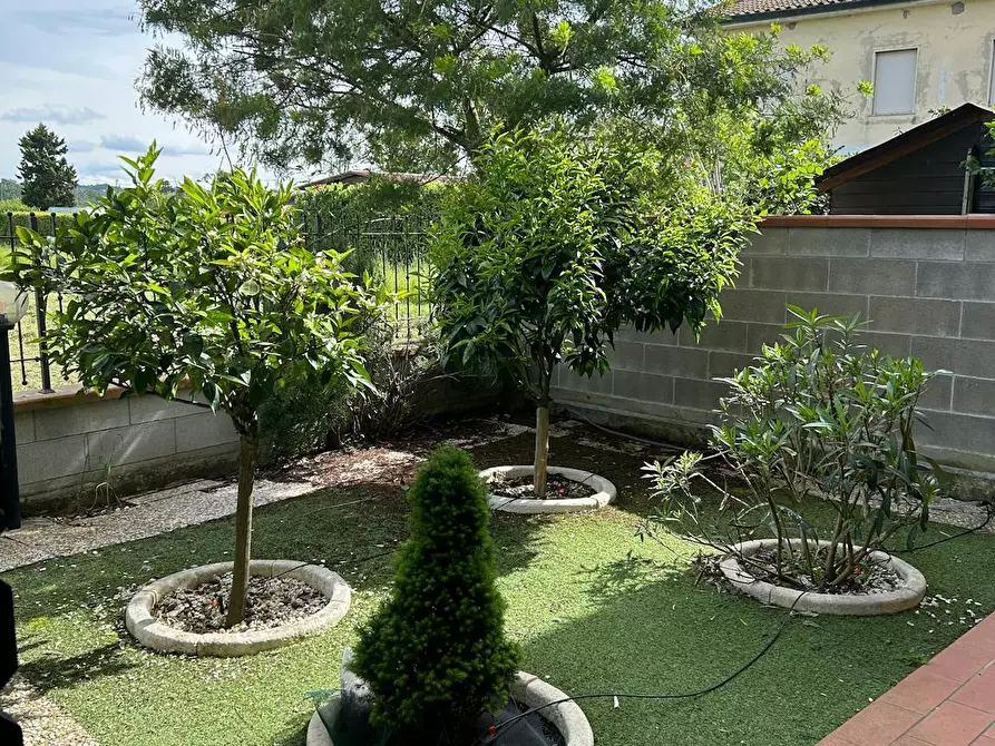 Immagine 10 di Casa indipendente in affitto  in Via dei Pratacci a Pontedera