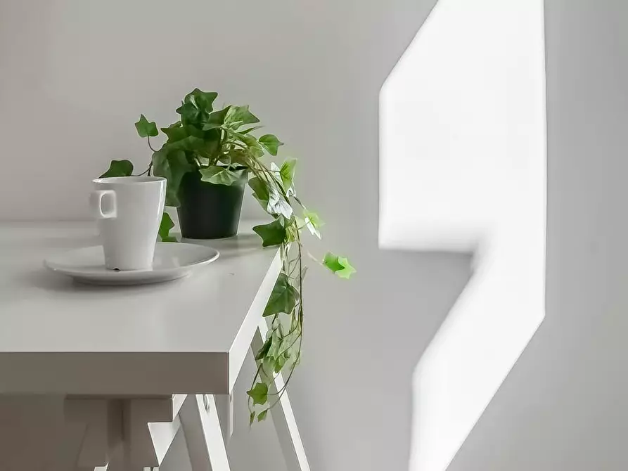 Immagine 10 di Camera in affitto  in Carrer del Carme a Barcelona