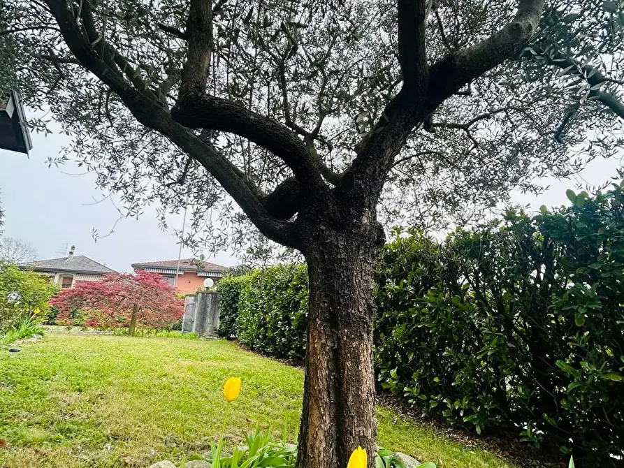 Immagine 6 di Casa indipendente in affitto  in Via Patrioti a Barasso