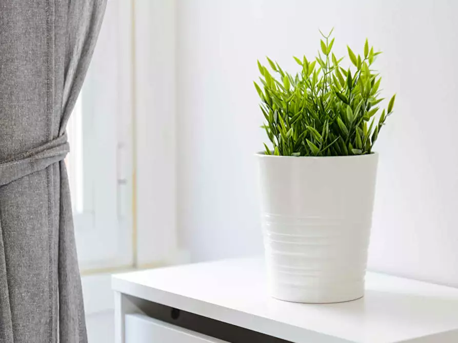 Immagine 7 di Camera in affitto  in Via Francesco Cavezzali a Milano