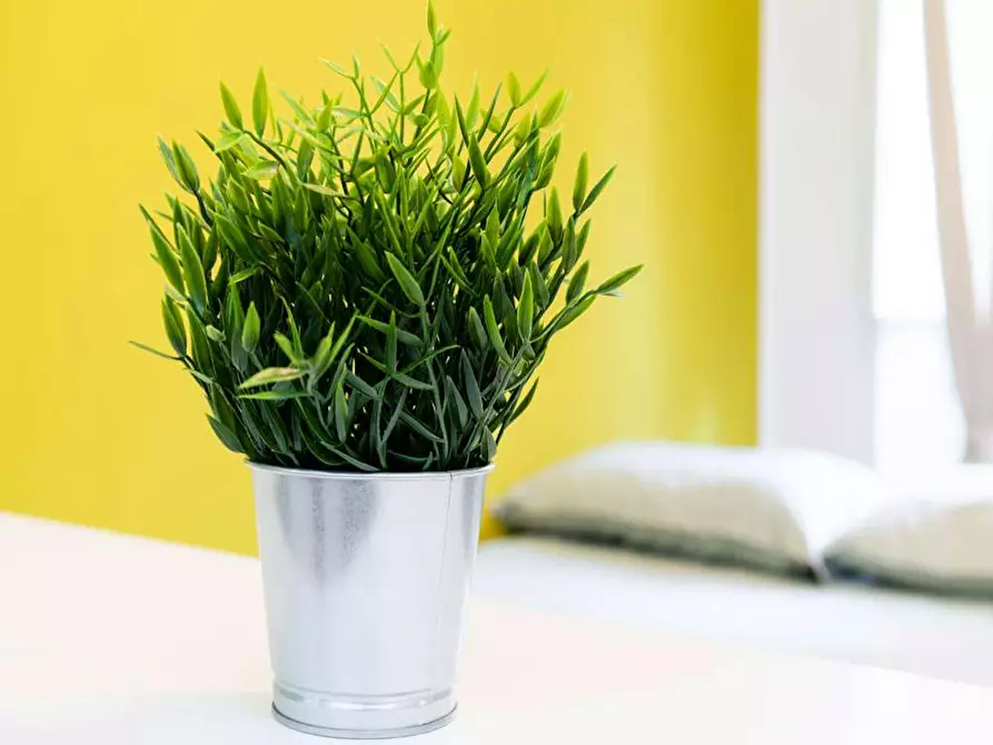 Immagine 6 di Camera in affitto  in Via Carlo Goldoni a Milano