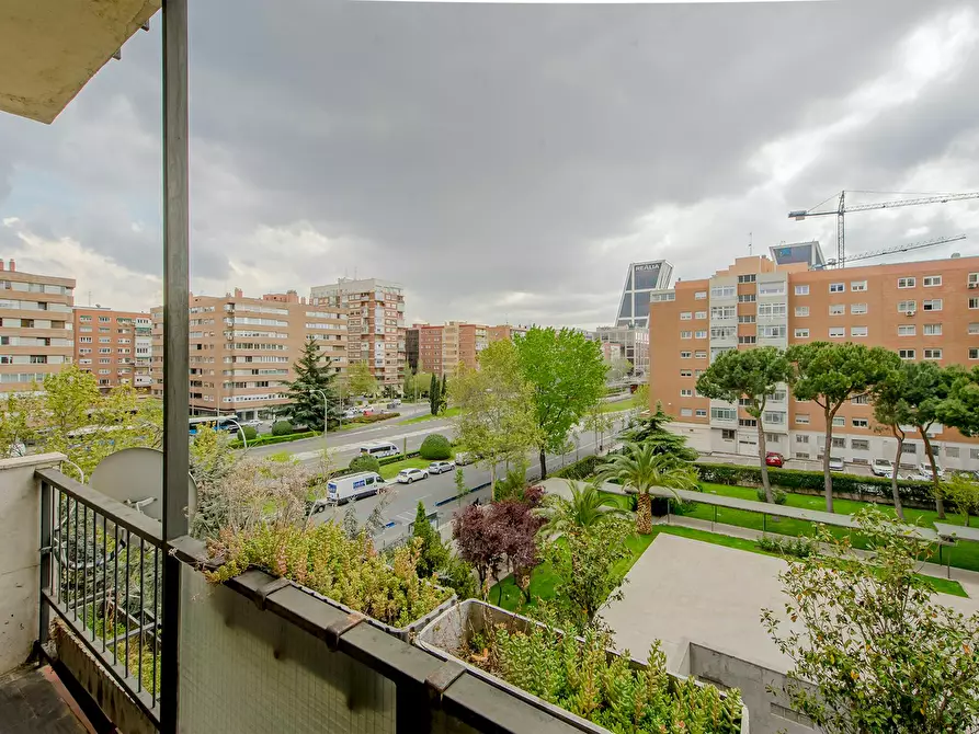 Immagine 6 di Camera in affitto  in Paseo de la Castellana a Madrid