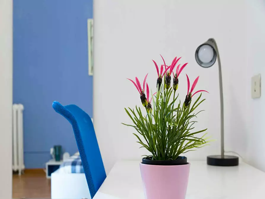 Immagine 6 di Camera in affitto  in Via Gustavo Modena a Milano