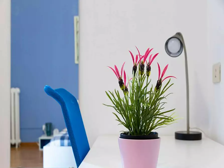 Immagine 4 di Camera in affitto  in Via Gustavo Modena a Milano