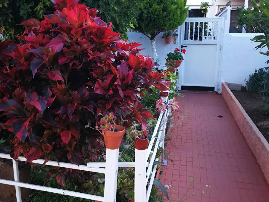 Immagine 3 di Casa indipendente in affitto  in Calle Cardón a Puerto De La Cruz