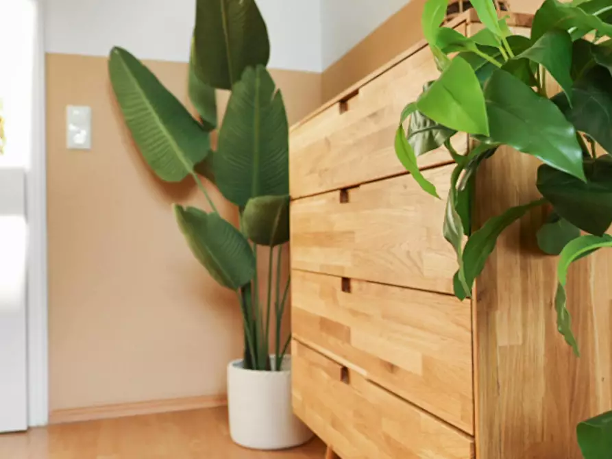 Immagine 9 di Appartamento in affitto  in Wendenstraße a Braunschweig