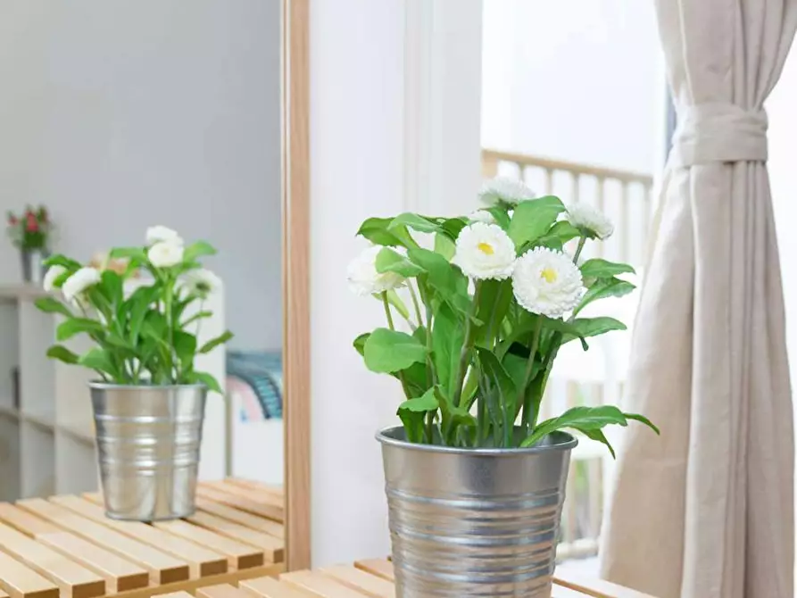 Immagine 7 di Camera in affitto  in Via Lepanto a Milano