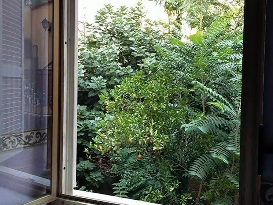 Immagine 7 di Camera in affitto  in Via Montesilvano a Napoli