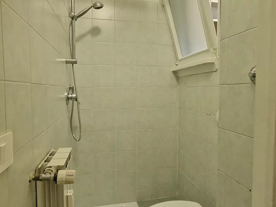 Immagine 10 di Camera in affitto  in Lungotevere di Pietra Papa a Roma