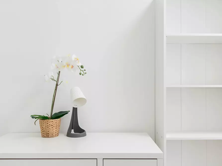 Immagine 4 di Camera in affitto  in Via Frinco a Torino