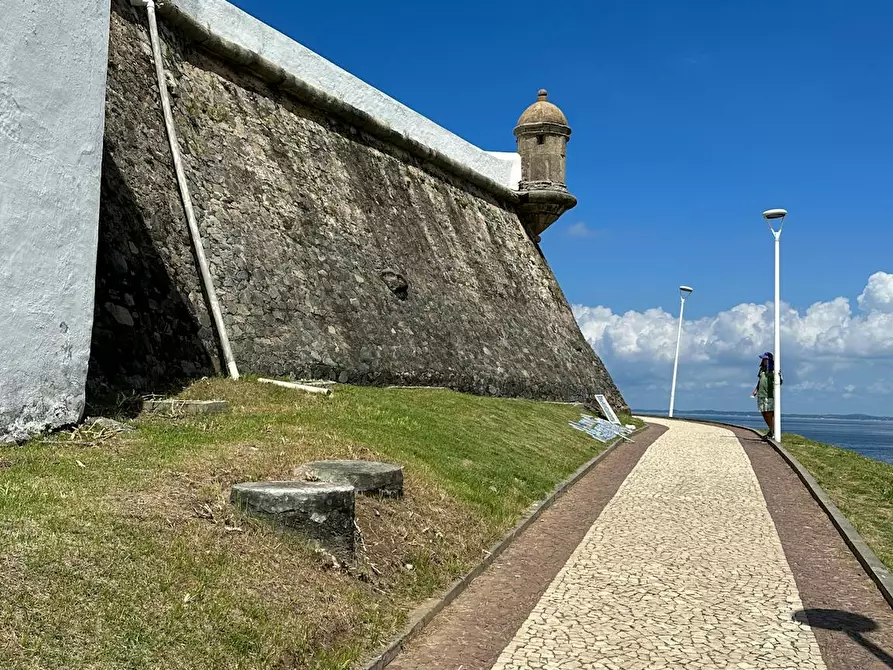 Immagine 3 di Camera in affitto  in Via Giosuè Carducci a Pisa