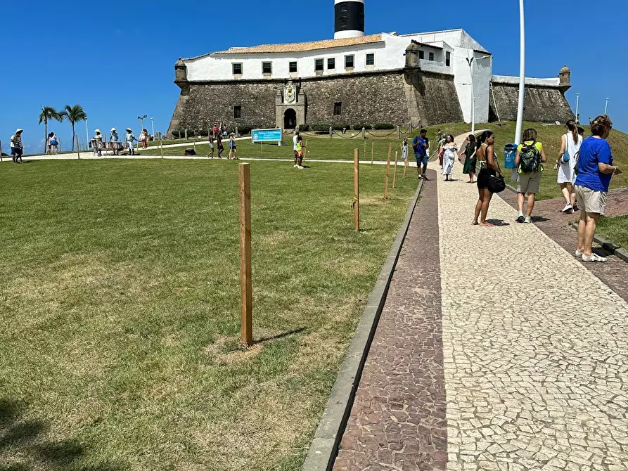 Immagine 1 di Camera in affitto  in Via Giosuè Carducci a Pisa