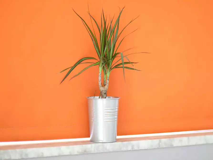 Immagine 5 di Camera in affitto  in Via Marcona a Milano