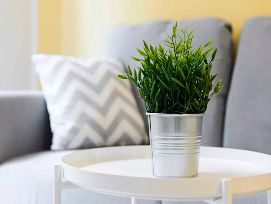 Immagine 7 di Camera in affitto  in Via Melchiorre Delfico a Milano