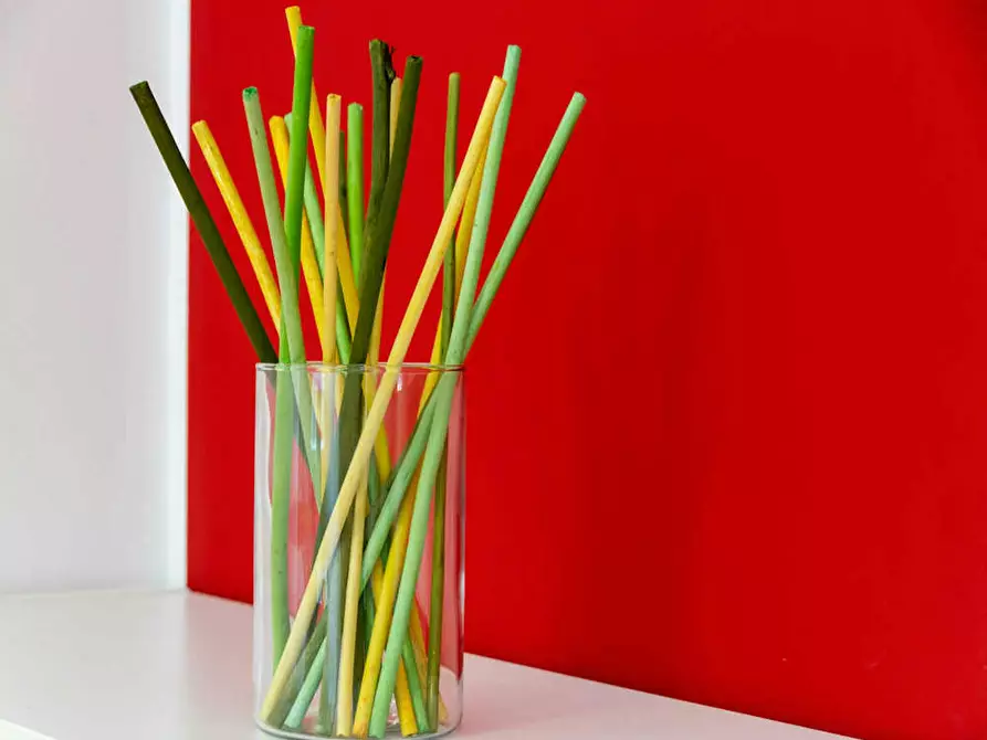 Immagine 3 di Camera in affitto  in Via Raffaello Bertieri a Milano