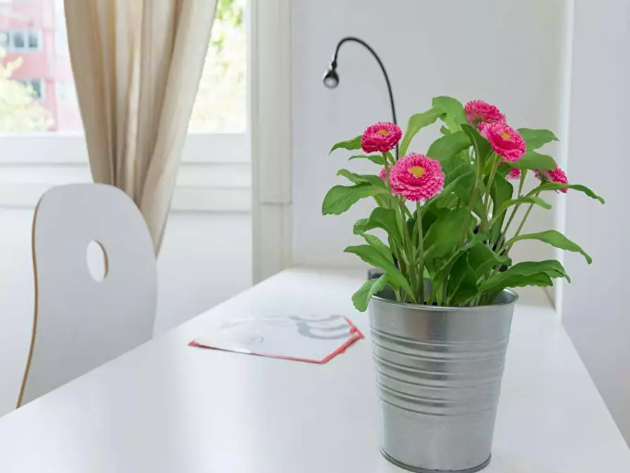 Immagine 7 di Camera in affitto  in Via Raffaello Bertieri a Milano