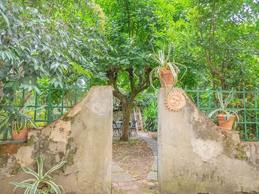 Immagine 3 di Appartamento in affitto  in Via Bolognese a Firenze