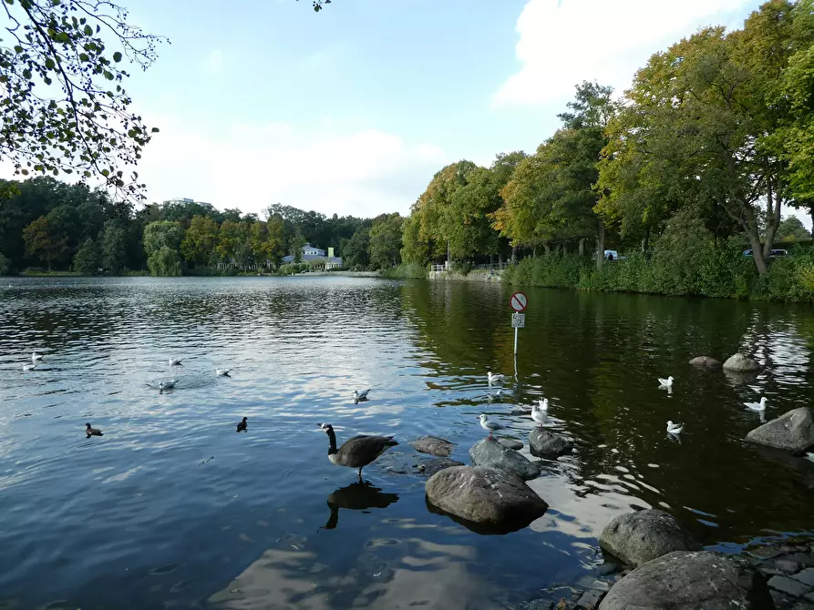 Immagine 1 di Appartamento in affitto  in Vinzenzweg a Hamburg