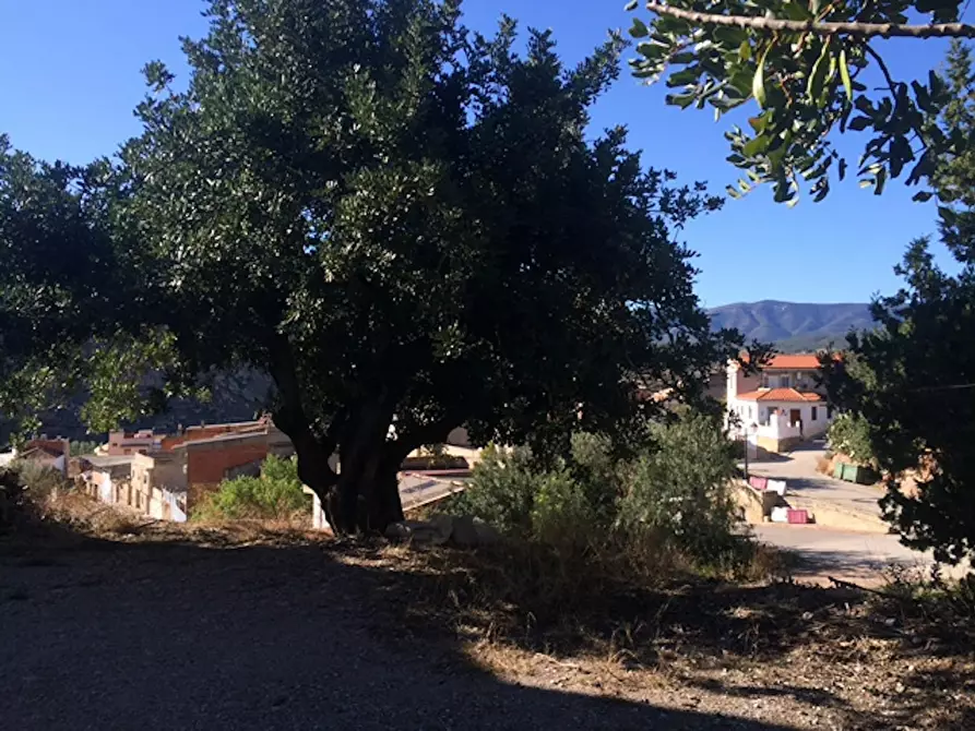 Immagine 6 di Casa indipendente in affitto  in Calle Ventorrillo a Bugarra