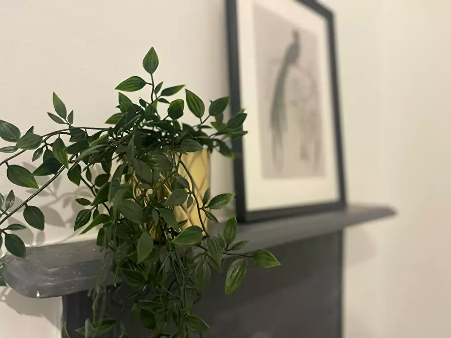 Immagine 8 di Casa indipendente in affitto  in Crescent Avenue a 