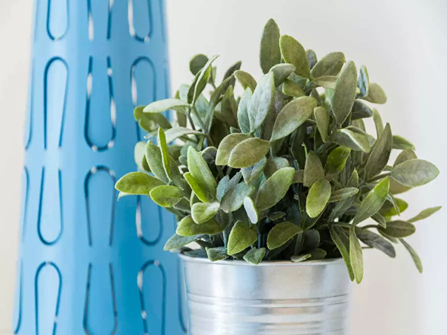 Immagine 3 di Camera in affitto  in Viale Carlo Espinasse a Milano