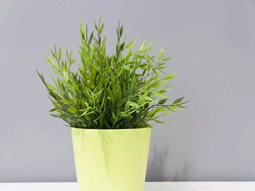 Immagine 7 di Camera in affitto  in Bastioni di Porta Volta a Milano