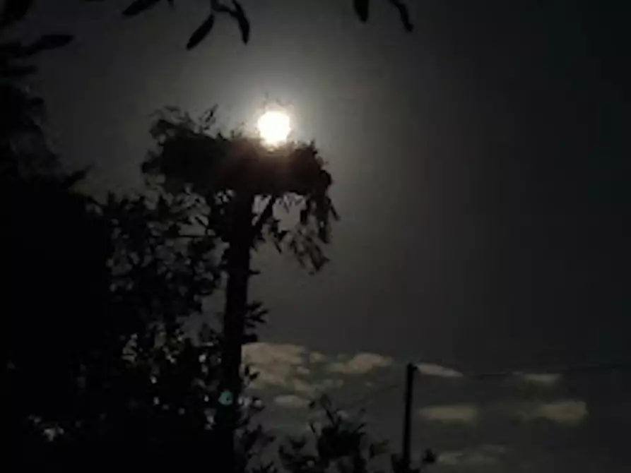 Immagine 3 di Casa indipendente in affitto  in Strada di Bonifica Raneddi Fondo Melone a Pachino