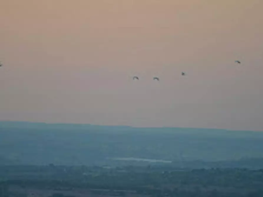 Immagine 10 di Casa indipendente in affitto  in Strada di Bonifica Raneddi Fondo Melone a Pachino