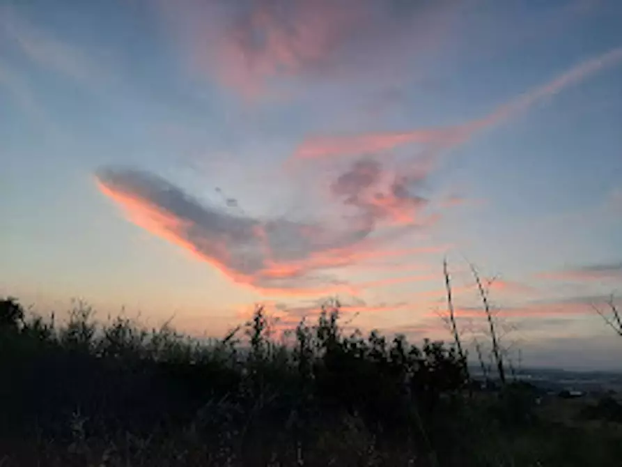 Immagine 5 di Casa indipendente in affitto  in Strada di Bonifica Raneddi Fondo Melone a Pachino