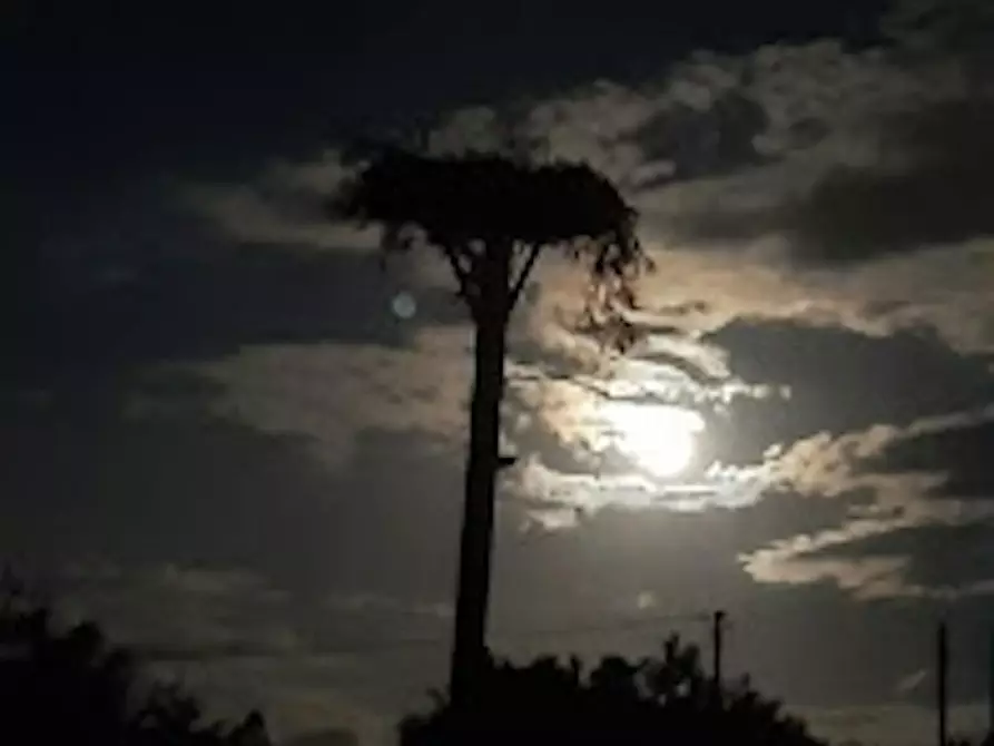 Immagine 7 di Casa indipendente in affitto  in Strada di Bonifica Raneddi Fondo Melone a Pachino