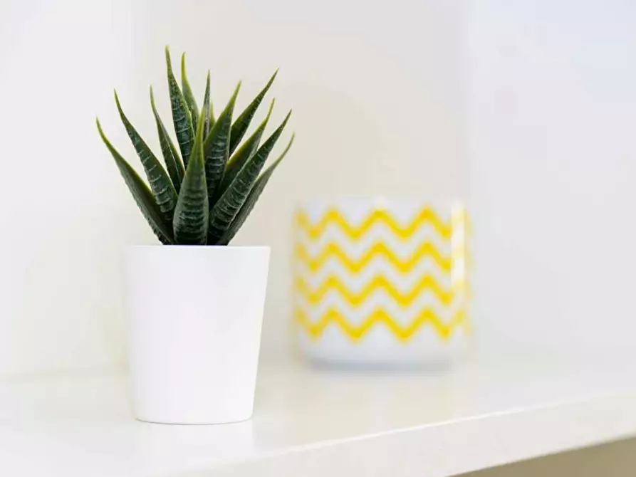 Immagine 8 di Camera in affitto  in Via Annibale Grasselli a Milano