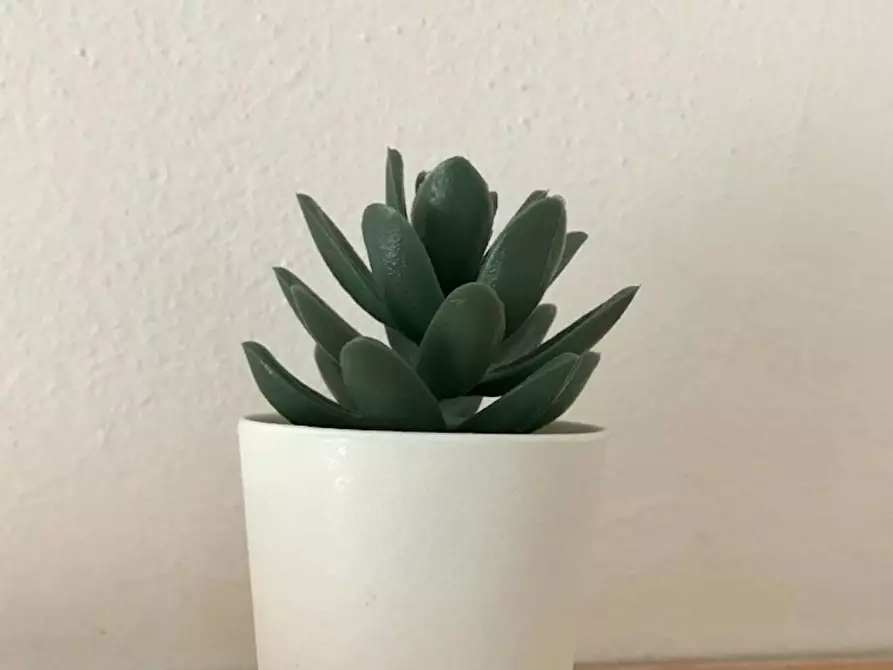 Immagine 4 di Appartamento in affitto  in Via Giordano Bruno a Milano