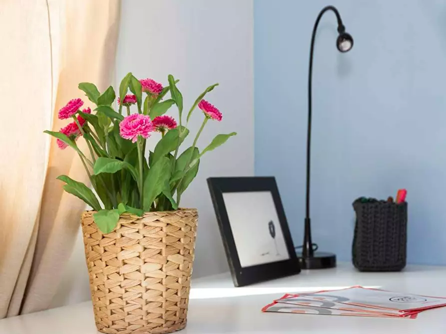 Immagine 5 di Camera in affitto  in Via Tarquinio Prisco a Milano