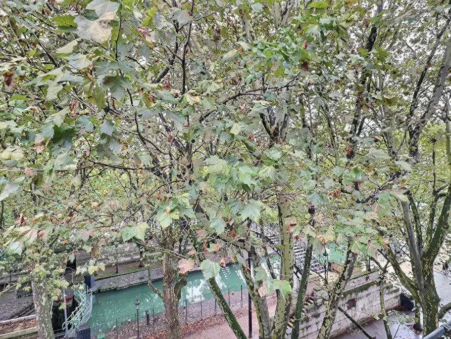 Immagine 3 di Appartamento in affitto  in Avenue Jean Jaurès a Paris