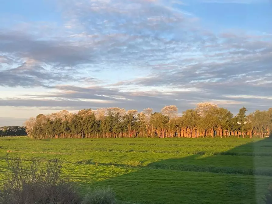 Immagine 4 di Appartamento in affitto  in Oosteinderlaan a Hillegom