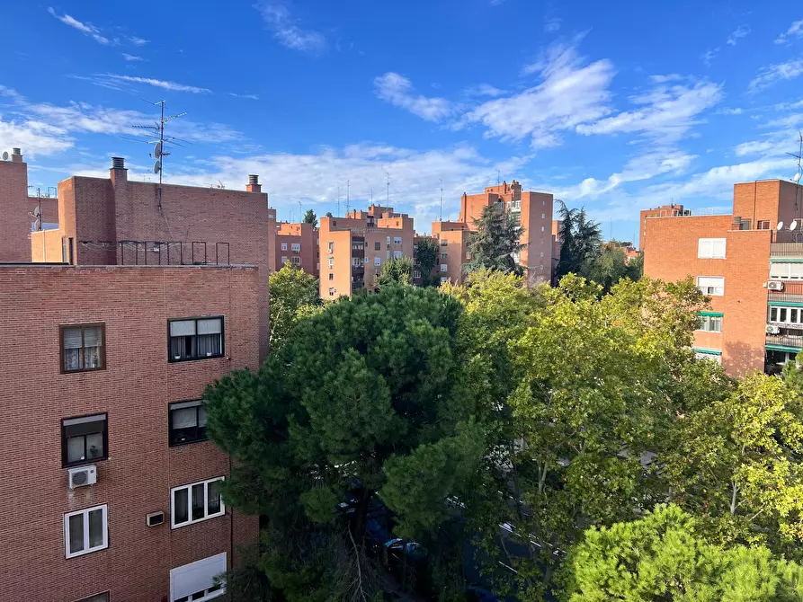 Immagine 10 di Camera in affitto  in Calle de Valdevarnes a Madrid