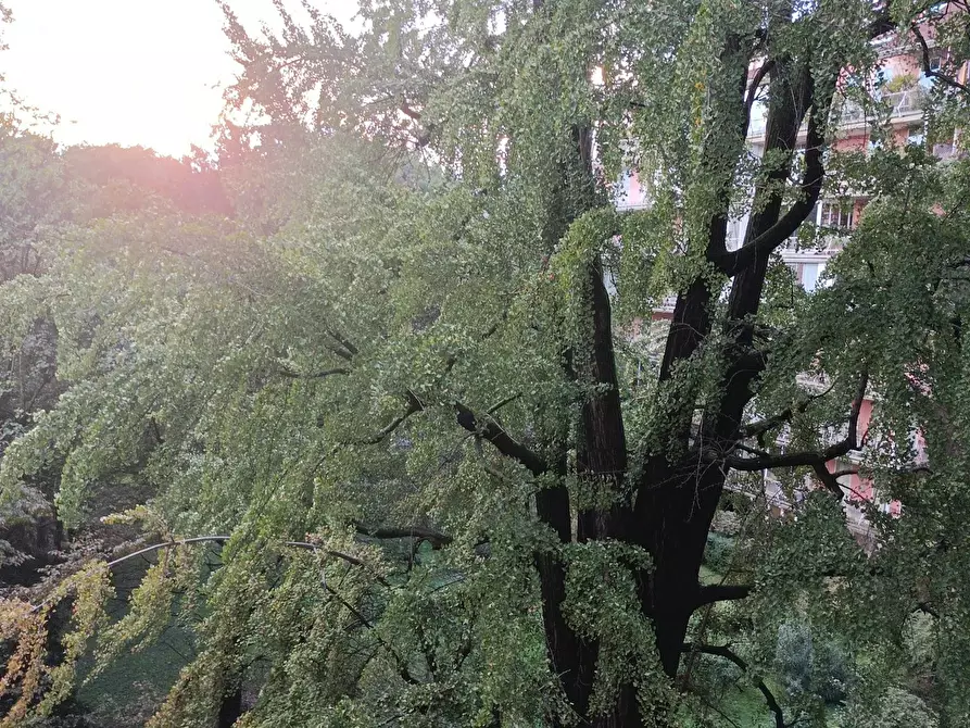 Immagine 7 di Camera in affitto  in Corso di Porta Romana a Milano
