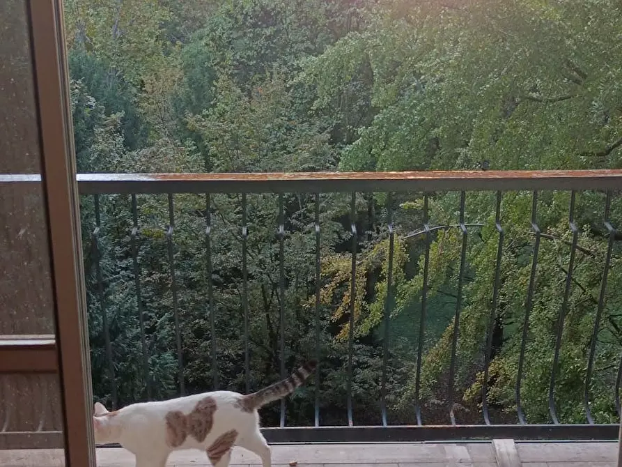 Immagine 6 di Camera in affitto  in Corso di Porta Romana a Milano