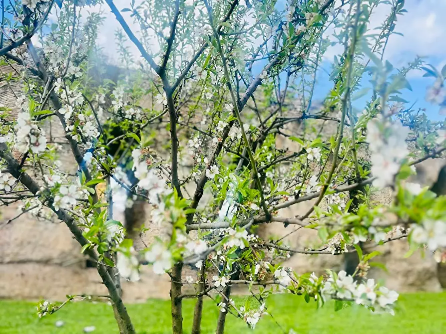 Immagine 8 di Camera in affitto  in Via Giuseppe Cei a Roma