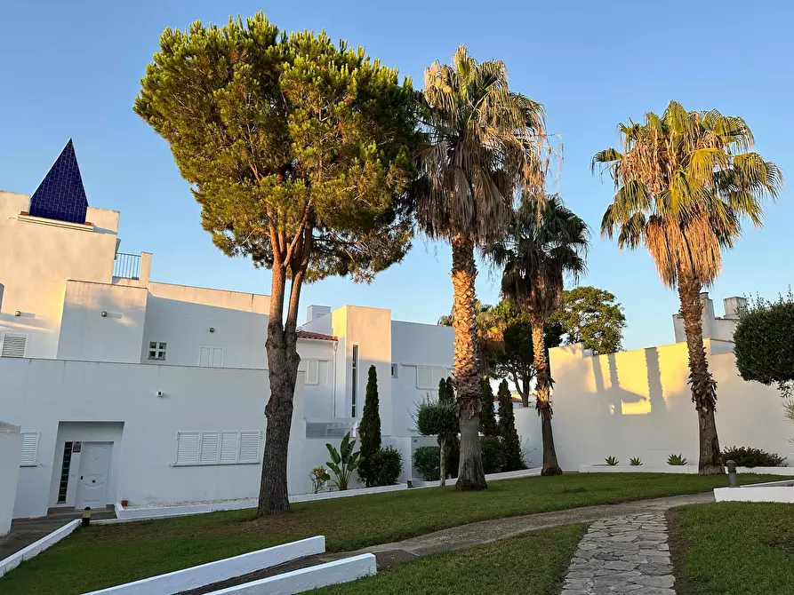 Immagine 3 di Casa indipendente in affitto  in Urbanización Loma de Santi Petri a Pago Del Humo