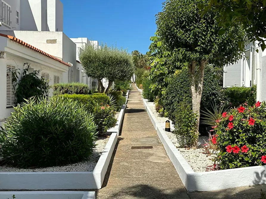 Immagine 2 di Casa indipendente in affitto  in Urbanización Loma de Santi Petri a Pago Del Humo