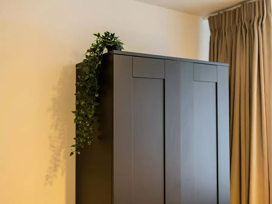 Immagine 6 di Appartamento in affitto  in Westersingel a Rotterdam