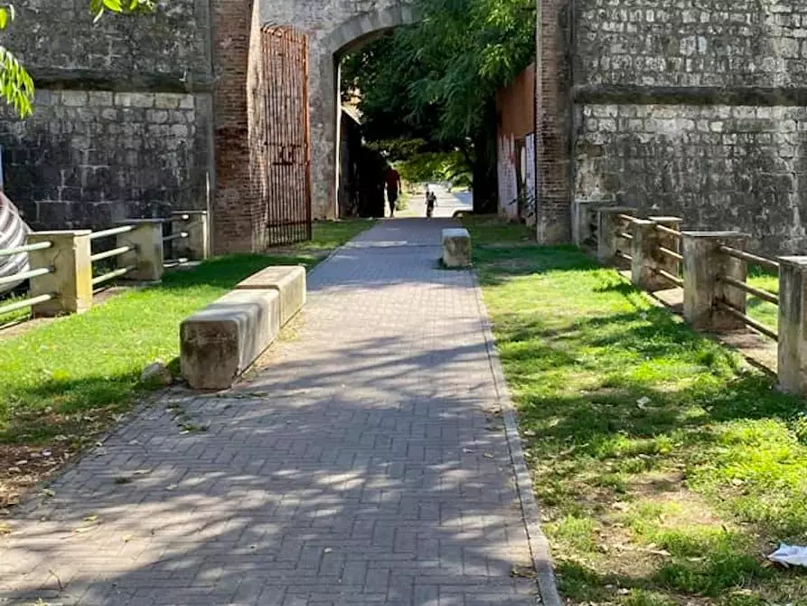 Immagine 6 di Camera in affitto  in Via Conte Fazio a Pisa
